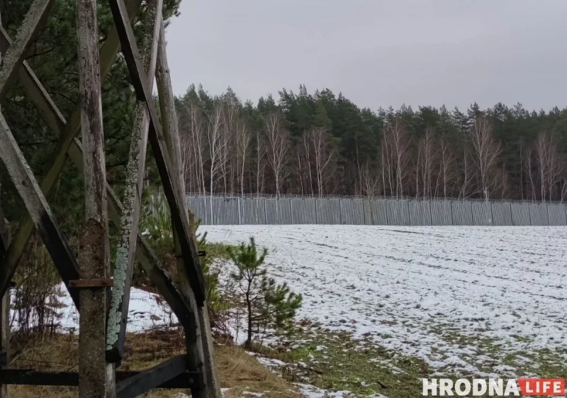 В Гродно задержали группу мигрантов. Эксперт: «Мавр свое дело сделал, но уходить ему некуда» Забор на границе Польши и Беларуси должен помешать нелегальным мигрантам в Гродно попадать в Польшу