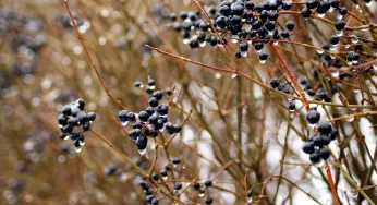 Февраль 2024 был самым влажным за 69 лет наблюдений. Что еще отметили метеорологи