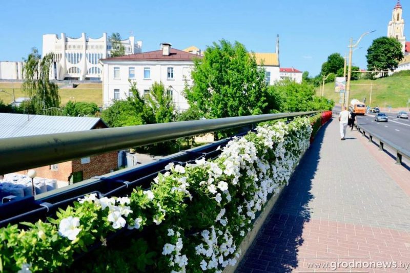 Озеленение на Старом мосту в Гродно