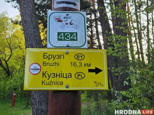 В Стриевке разрушили памятник погибшим польским солдатам. Это уже пятый случай в Гродненской области В Стриевке разрушили памятник погибшим польским солдатам. Это уже пятый случай в Гродненской области