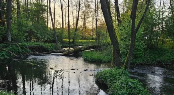 На Лососянке появятся мостики и пляж. Там будет парк отдыха на Фолюше