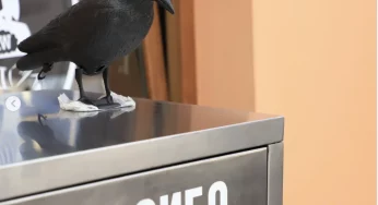 “Нас дискредитируют». Владелец кафе, на которое пожаловались гродненцы, пообещал дойти до суда