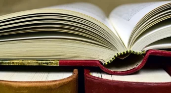 Гродненцы предлагают назвать одну из улиц в честь Лидии Яловчик