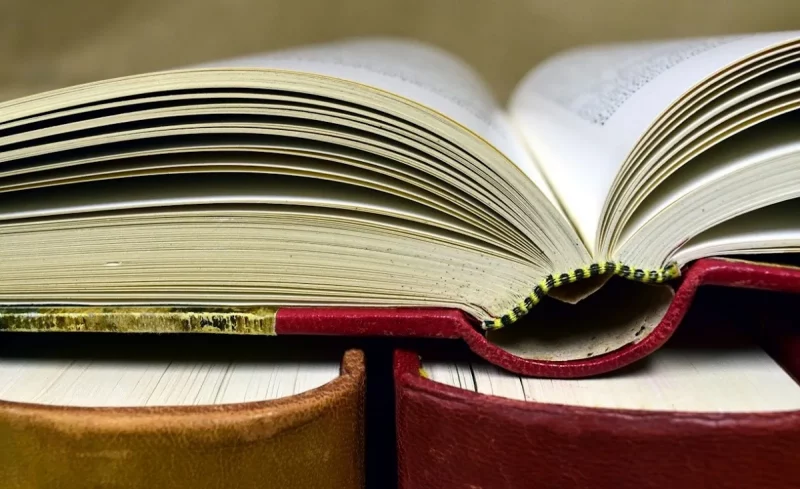 Гродненцы предлагают назвать одну из улиц в честь Лидии Яловчик Книги. Иллюстративное фото: pixabay.com