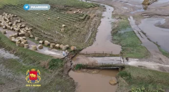 Под Гродно обвалились два моста — их смыло водой во время ливня