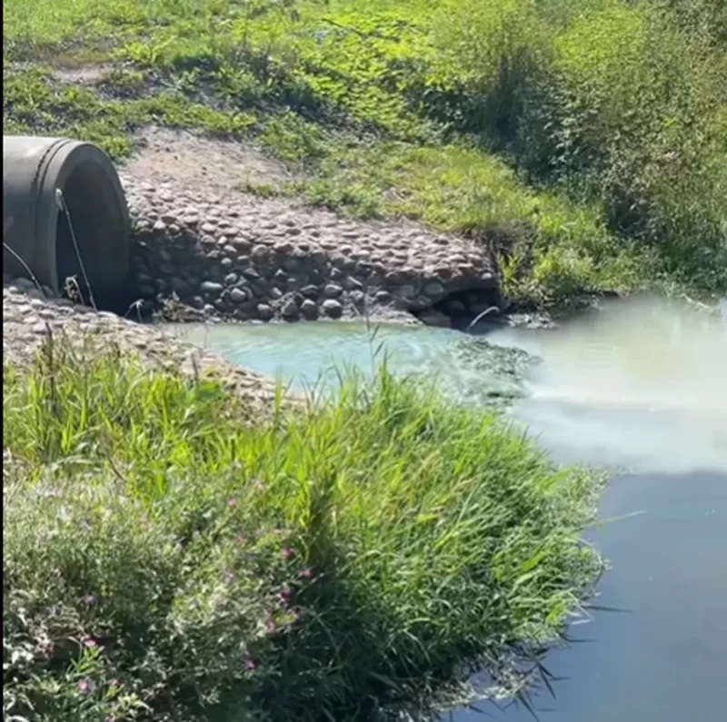 Загрязненная Городничанка. Скриншот видео Евгения Филимонова