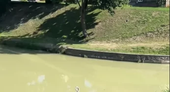 Вода в Городничанке стала белой, стоки попали в Нёман. В чем причина и насколько все плохо?