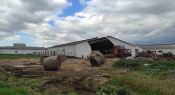 В Новогрудском районе мужчину засыпало стеной — он погиб