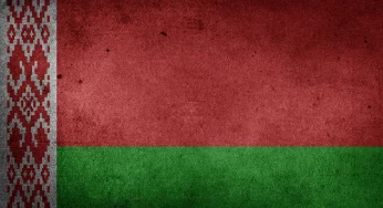 В Волковыске задержали 16-летнего студента. Он срезал красно-зеленый флаг