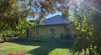 Недвижимость недели: в Южном продается дом с «Утром в сосновом лесу» на всю стену и королевской кухней