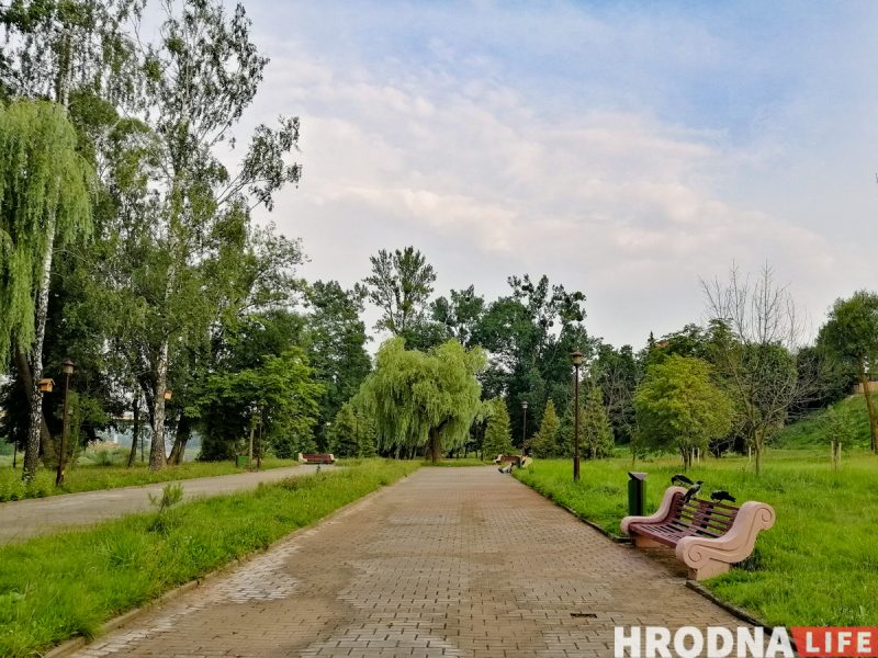 Вероятно, в Гродно станет меньше зелени — ЖКХ хочет спилить деревья, которые мешают зданиям Вероятно, в Гродно станет меньше зелени — ЖКХ хочет спилить деревья, которые мешают зданиям