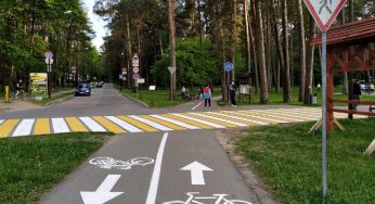 «Устал перепрыгивать собачек и детишек». Велосипедисты не могут договориться с пешеходами в Пышках