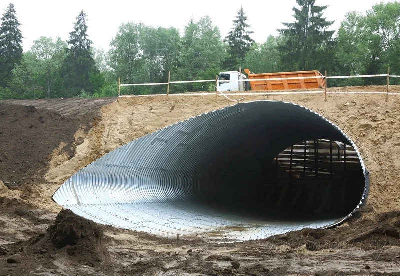 Гродзенскія ўлады агародзяць трасы ад дзікіх жывёлін. Папярэднія спробы аказаліся неэфектыўнымі