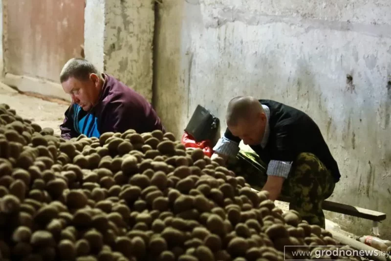 Бывшие заключенные на работе.