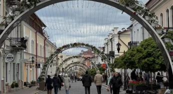 Чиновники объяснили, почему украсили Советскую пластиковыми цветами