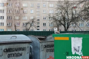 В Беларуси — имущество, в Польше — живые существа. Сравнили, как в двух странах решают проблему бездомных животных Бездомный кот в Гродно. Фото: Hrodna.life