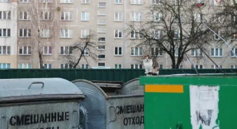 В Слониме построят пункт временного содержания животных