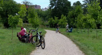 Появилась схема парка на Фолюше в Гродно — для него подготовят новый проект. Что будет в парке? (обновлено)