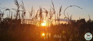 Лето, которое мы (не)растратили: напоминалка, как украсить жизнь и наполнить лето счастьем Лето отдых на озере