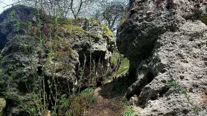 Белоруски исследовали “Колодежный ров” в Гродно - памятник, о котором знают не все Белоруски исследовали “Колодежный ров” в Гродно - памятник, о котором знают не все