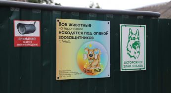 «Живут везде: в доме, сарае, гараже». В Лидском районе соседи-пенсионеры и зоозащитница спорят из-за 13 собак и некошеной травы