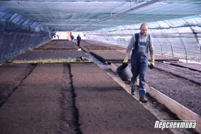 Объекты без «пиара»: Гродненский лесхоз открывает новые туристические маршруты