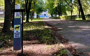 В Гродно установили контейнеры для уборки за собаками на выгуле В Гродно установили контейнеры для уборки за собаками на выгуле
