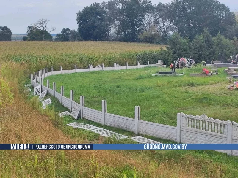 Дети из Гродно мерялись силой - и повредили забор кладбища на 2400 рублей