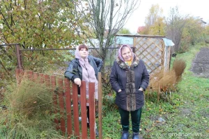 В Коробчицах местная жительница требует отдать ей участок «под огород» — земля принадлежит другим людям  В Коробчицах местная жительница требует отдать ей участок «под огород» — земля принадлежит другим людям