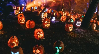 Чиновники против, а гродненцы за. Будут ли праздновать Хэллоуин в Гродно в 2025? 