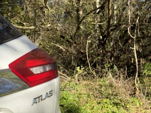 Многолетняя борьба: дорогу около Скиделя расчистили только после обращений местной жительницы Деревья дорога Скидель