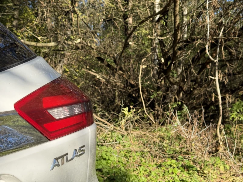 Многолетняя борьба: дорогу около Скиделя расчистили только после обращений местной жительницы Деревья дорога Скидель