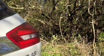 Многолетняя борьба: дорогу около Скиделя расчистили только после обращений местной жительницы