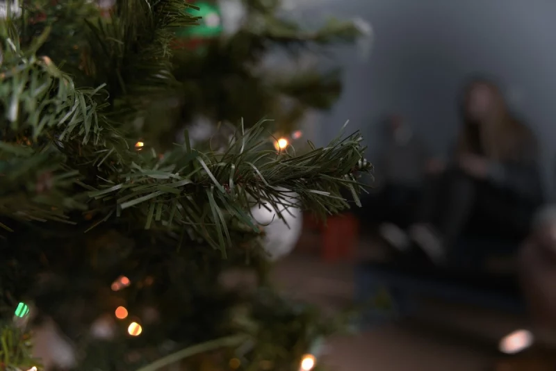 Гродненка хотела купить новогоднюю ель осенью — ее обманули Ель; елка; новый год.