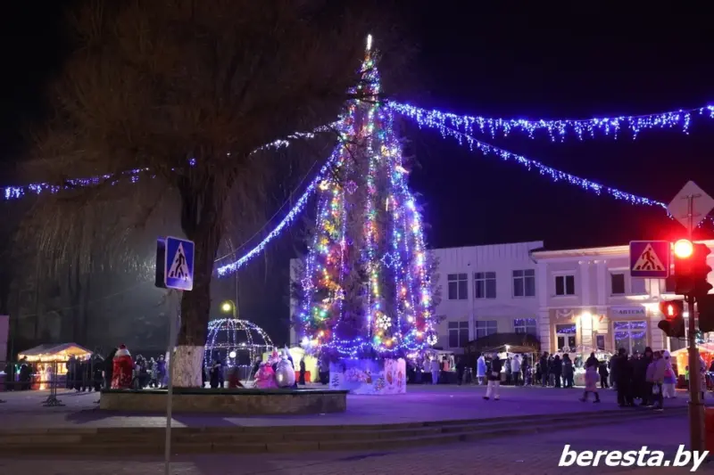 С подковами, домиками и снежинками. Как выглядят главные елки в районных центрах региона
