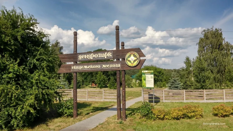 В Скидельском дендропарке появится музей лесной истории В Скидельском дендропарке появится музей лесной истории