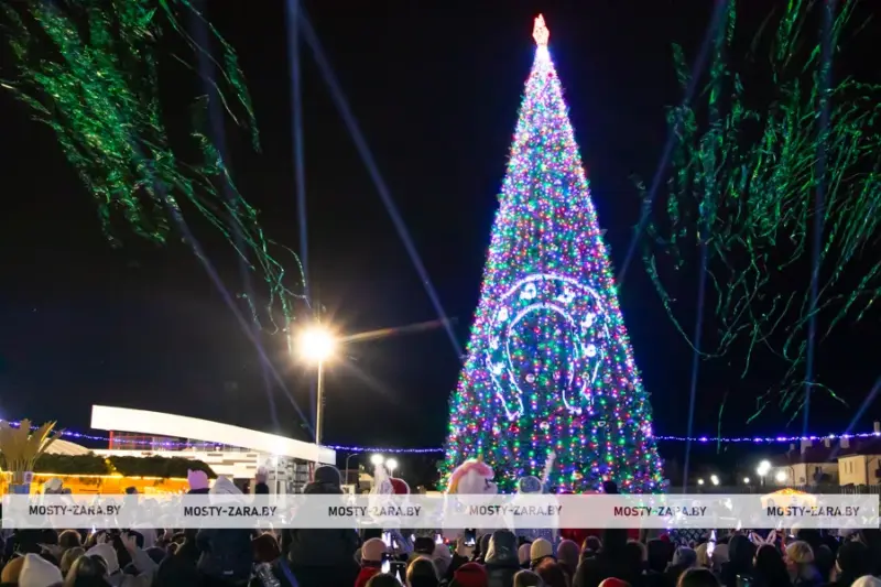 С подковами, домиками и снежинками. Как выглядят главные елки в районных центрах региона