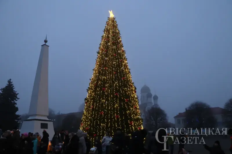 С подковами, домиками и снежинками. Как выглядят главные елки в районных центрах региона