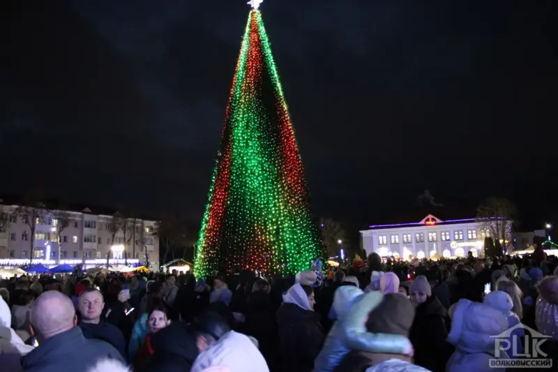 С подковами, домиками и снежинками. Как выглядят главные елки в районных центрах региона