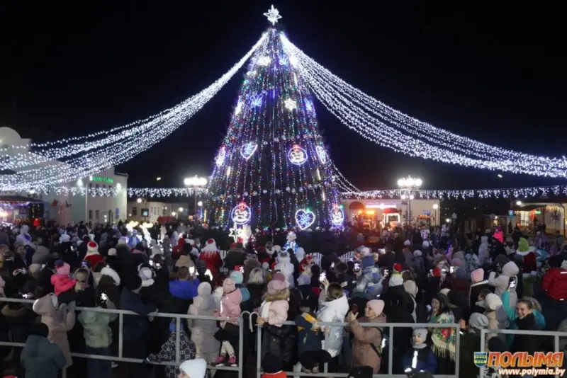 С подковами, домиками и снежинками. Как выглядят главные елки в районных центрах региона