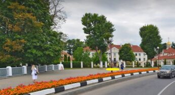 Фестивальный, киношный и туристический. Власти Гродно объявили конкурс на скульптуру оленя 