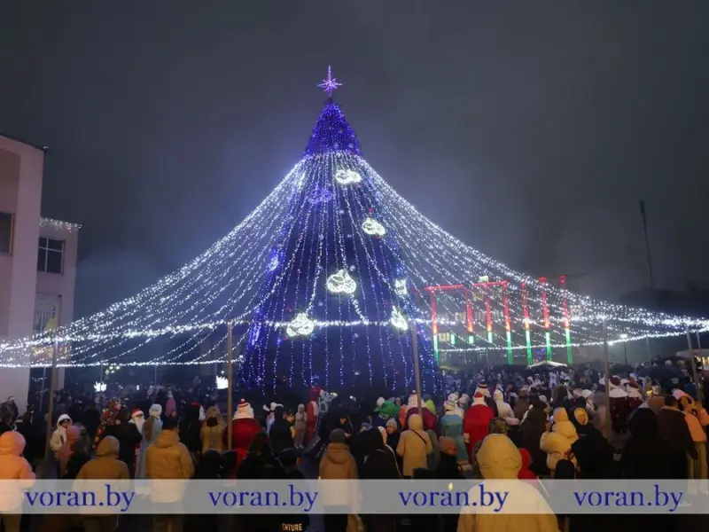 С подковами, домиками и снежинками. Как выглядят главные елки в районных центрах региона