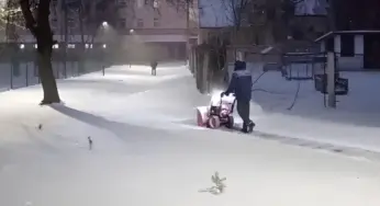 Гродно в снегу: коммунальщики работают круглосуточно, гродненцы жалуются, автобусы буксуют