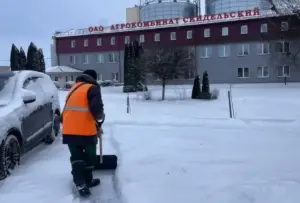 агрокомбинат скидель