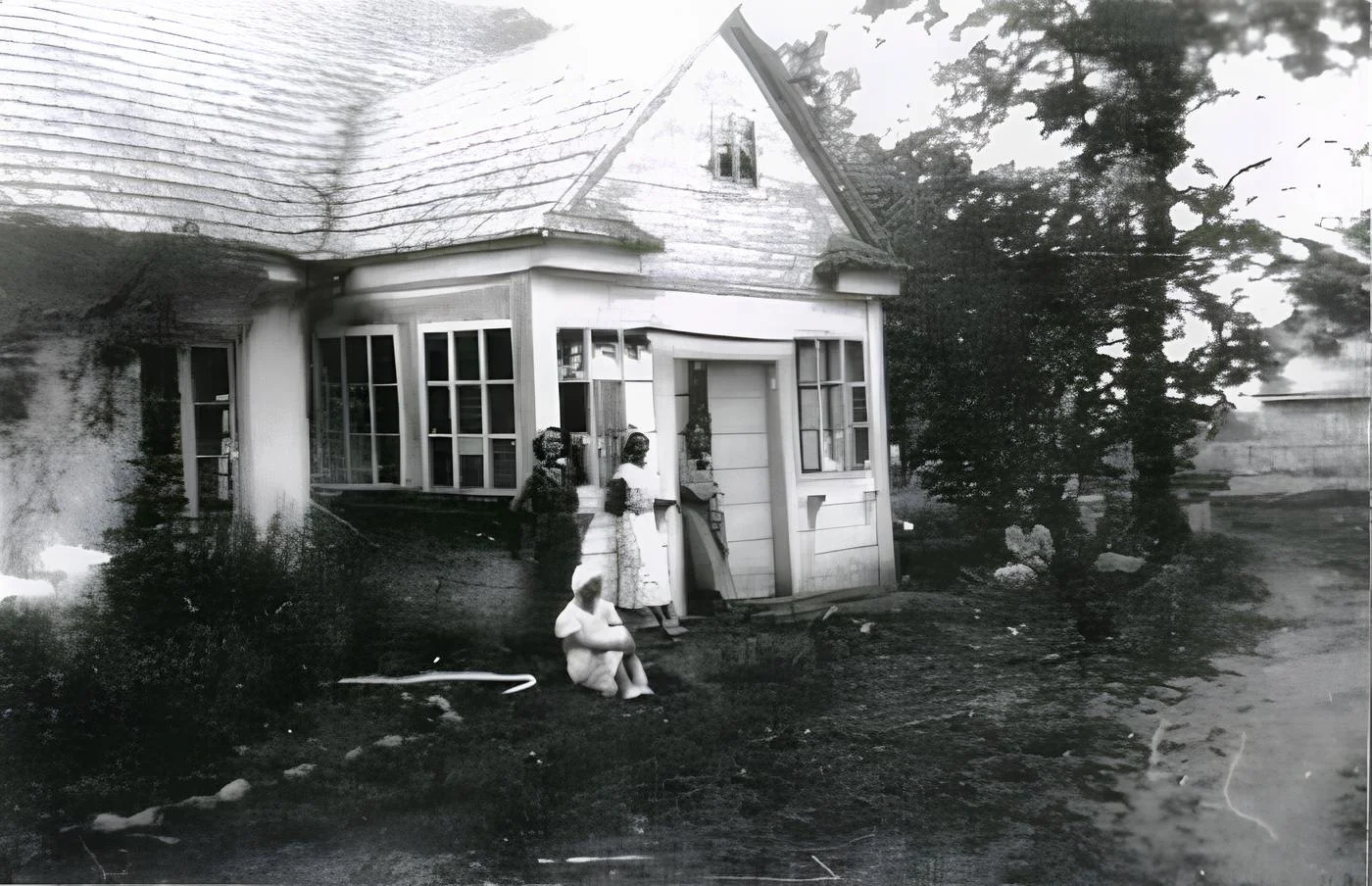 Зигмунд Минейко. Дом