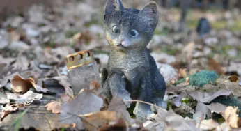 Кремация и скотомогильники: как в Беларуси правильно хоронить домашних животных? 