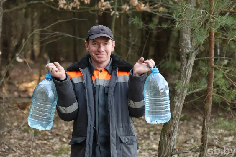 В лесхозах области уже можно купить березовый сок. Сколько он стоит?