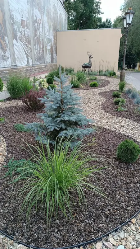 Лучшие дворы Гродно: версии назвали горожане