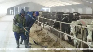 В Гродненской области дефицит кадров в агросфере восполняют иностранцами В Гродненской области дефицит кадров в агросфере восполняют иностранцами