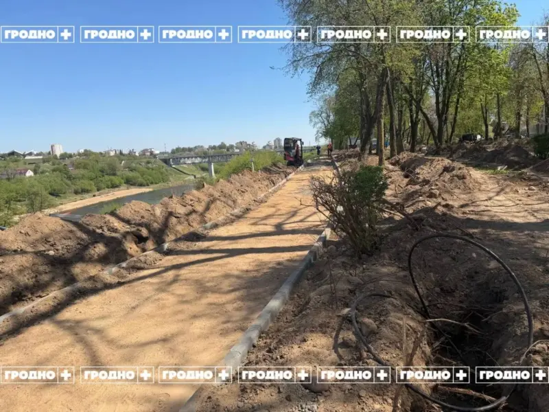 В Гродно продолжают реконструировать сквер на Дарвина. Жители домов жалуются на вырубку деревьев и отсутствие проекта